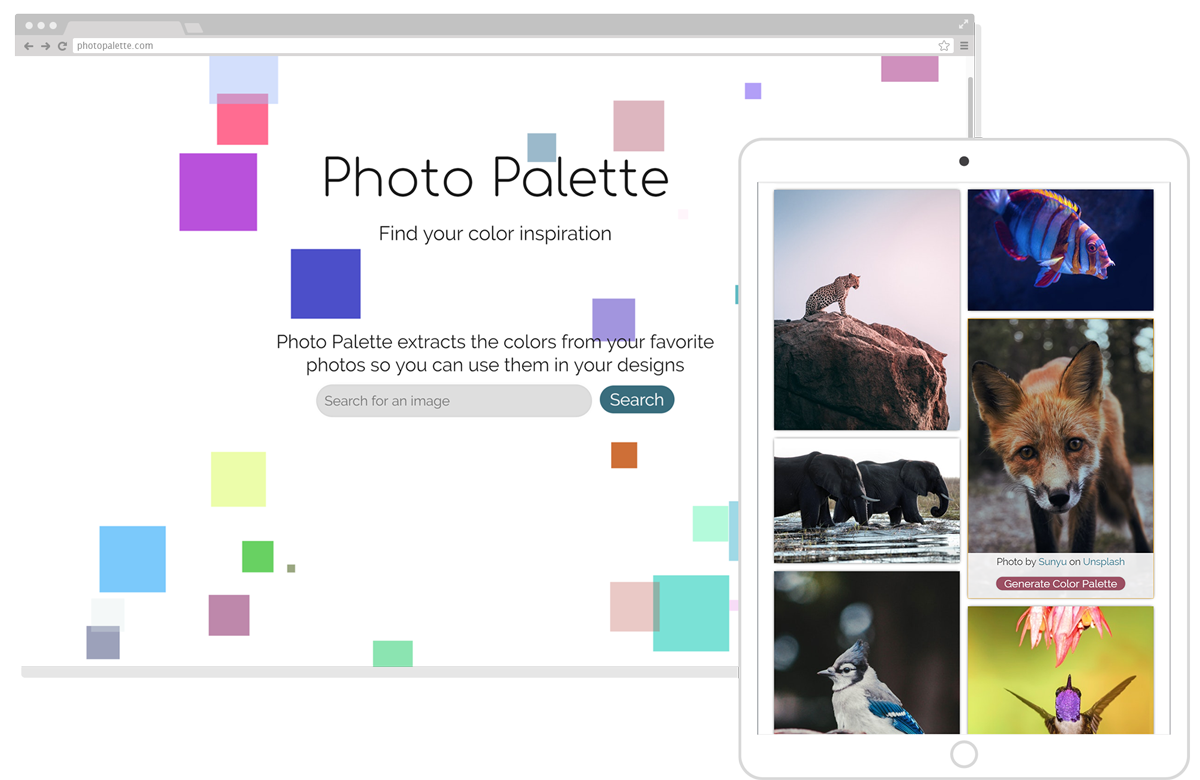 Photo Palette Appilcaiton Mockup